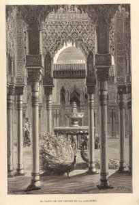 Nouvelle géographie universelle